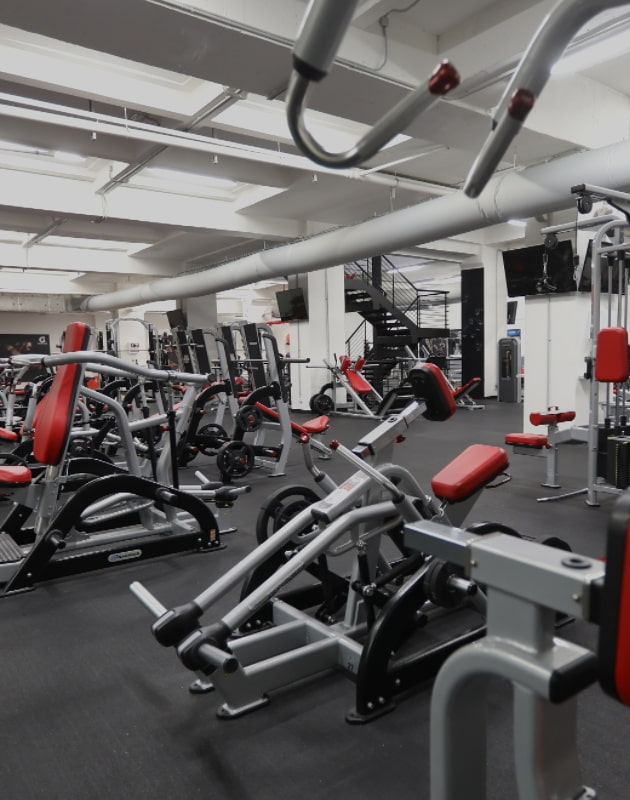 Fitness